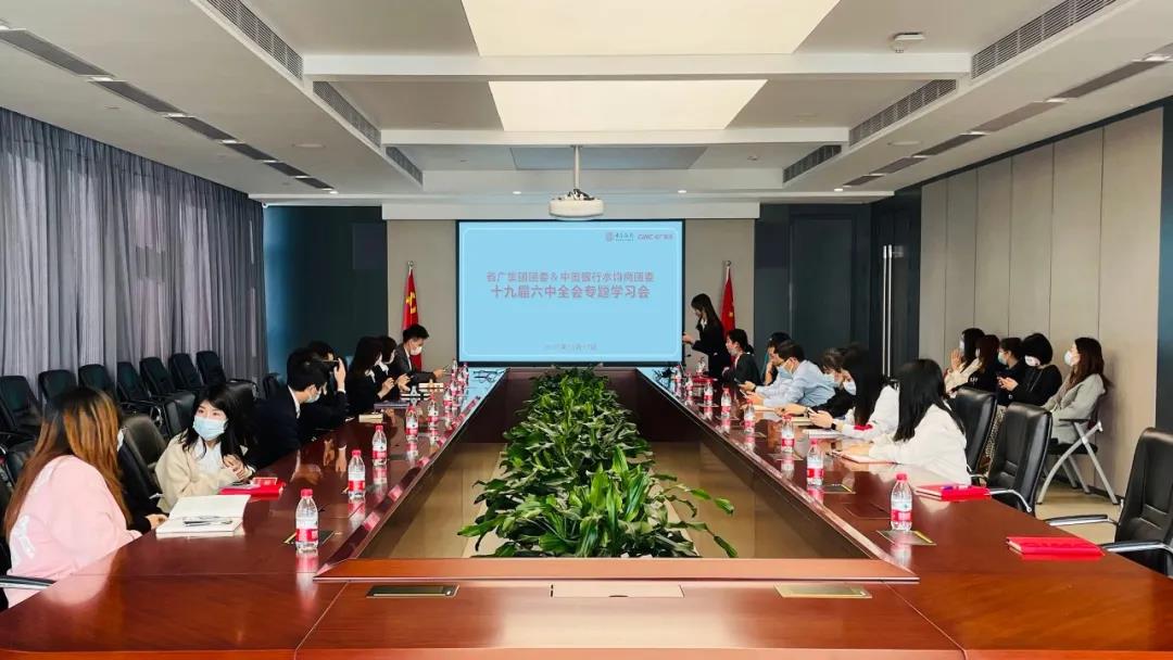 集團團委深入學習貫徹黨的十九屆六中全會精神 為集團奮進世界500強匯聚青春力量
