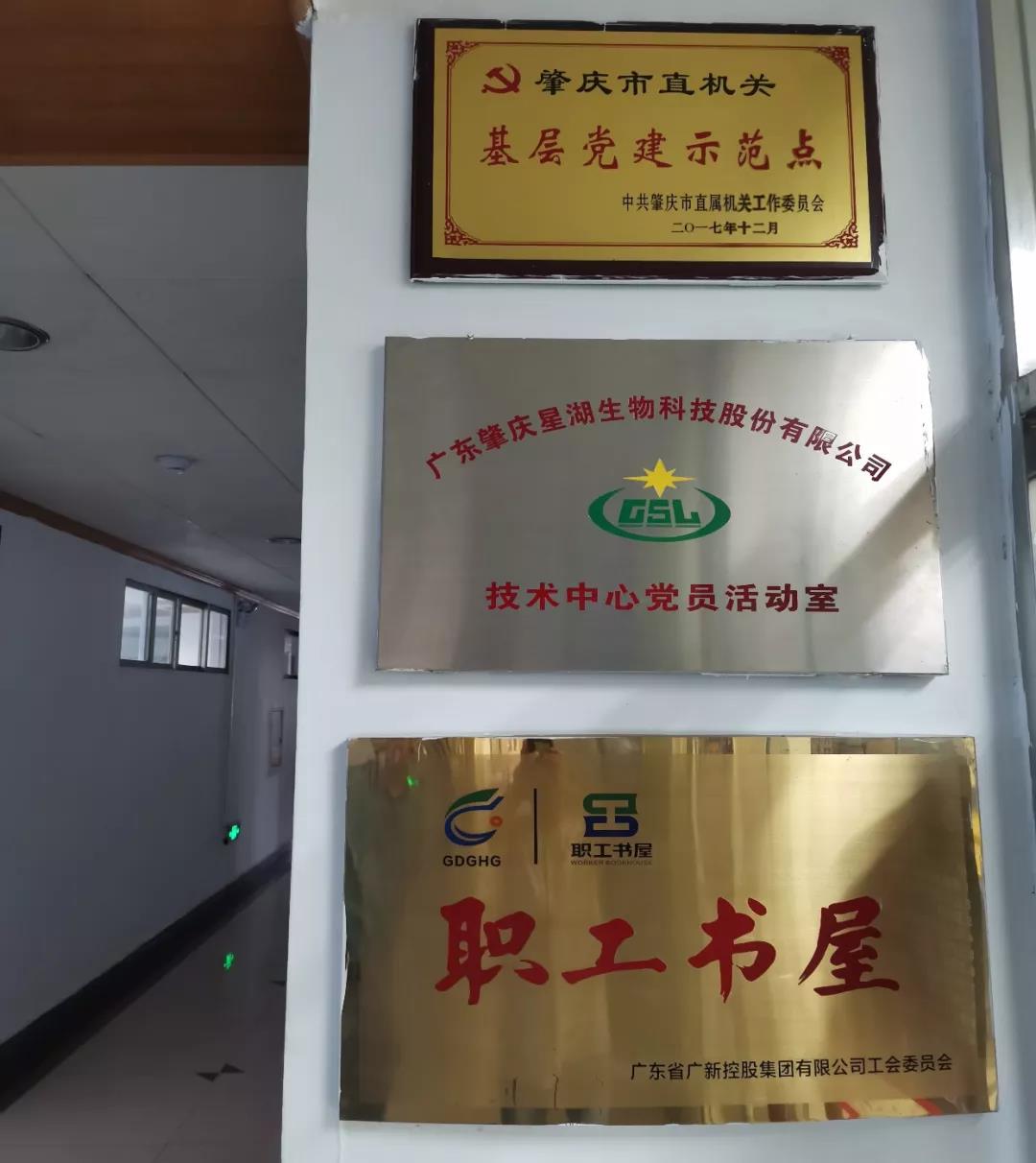 【“五強五化”系列報道之七】星湖科技:夯實基層基礎 打造黨建高地 【“五強五化”系列報道之七】星湖科技:夯實基層基礎 打造黨建高地