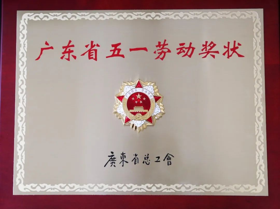 佛塑科技緯達公司技術品管部喜獲兩項省級殊榮 佛塑科技緯達公司技術品管部喜獲兩項省級殊榮