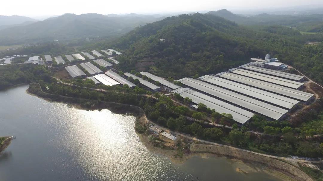 【“新廣新 新風采”專題報道】省食品:在履職盡責中展現國企新風采 全力保障大灣區“菜籃子”工程 【“新廣新 新風采”專題報道】省食品:在履職盡責中展現國企新風采 全力保障大灣區“菜籃子”工程