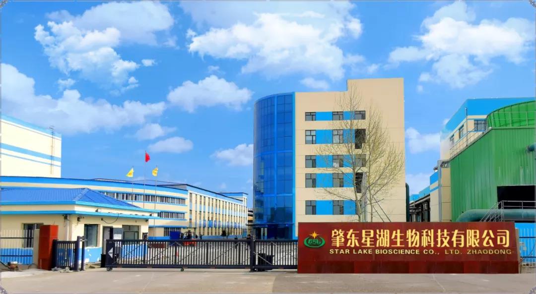 【“新廣新 新風采”專題報道】 星湖科技：打造粵龍合作項目 賦能產業高質量發展
