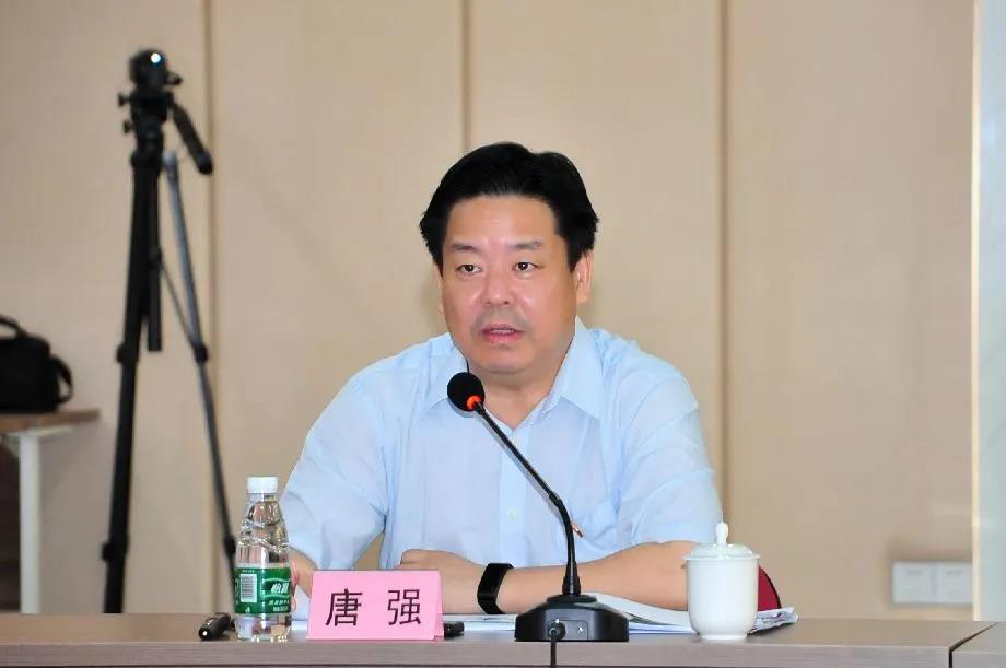 【書記論壇】佛塑科技黨委書記、董事長唐強：賡續紅色血脈 譜寫佛塑科技高質量發展新篇章