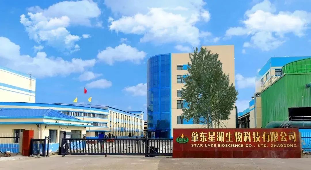 廣新集團深入貫徹全省高質量發展大會精神（四）
