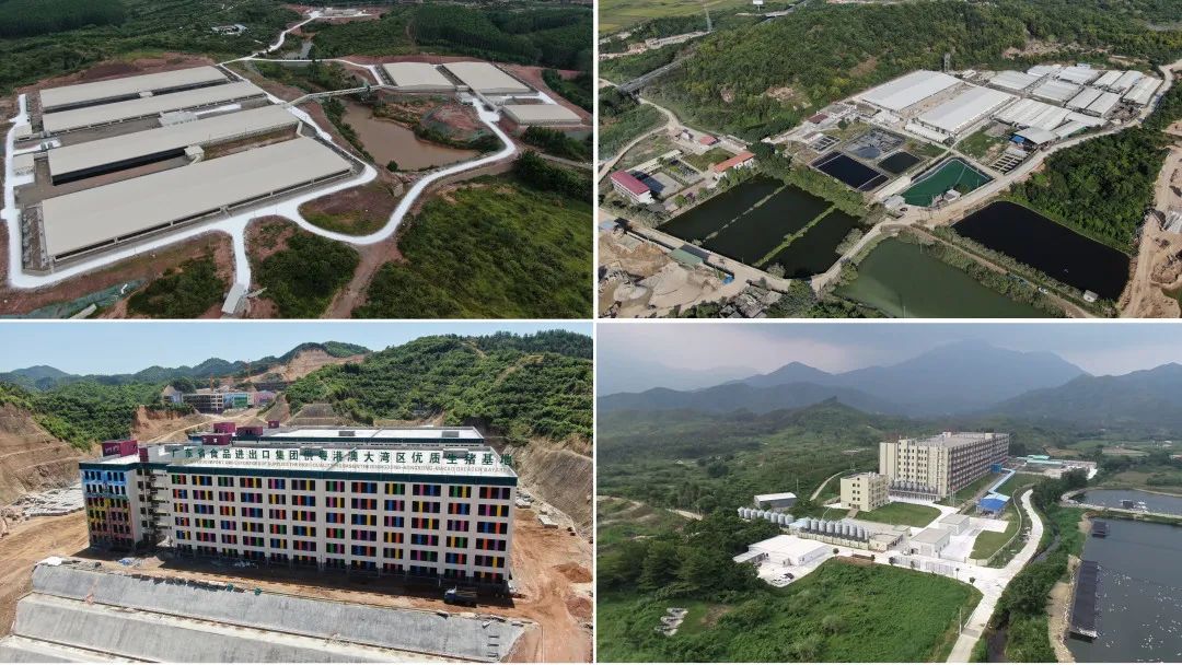 廣新集團深入貫徹全省高質量發展大會精神(六) 廣新集團深入貫徹全省高質量發展大會精神(六)