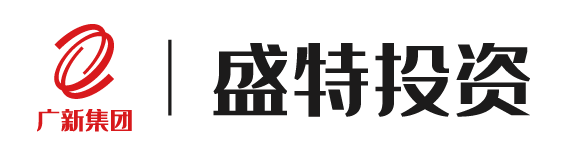 廣東廣新盛特投資有限公司