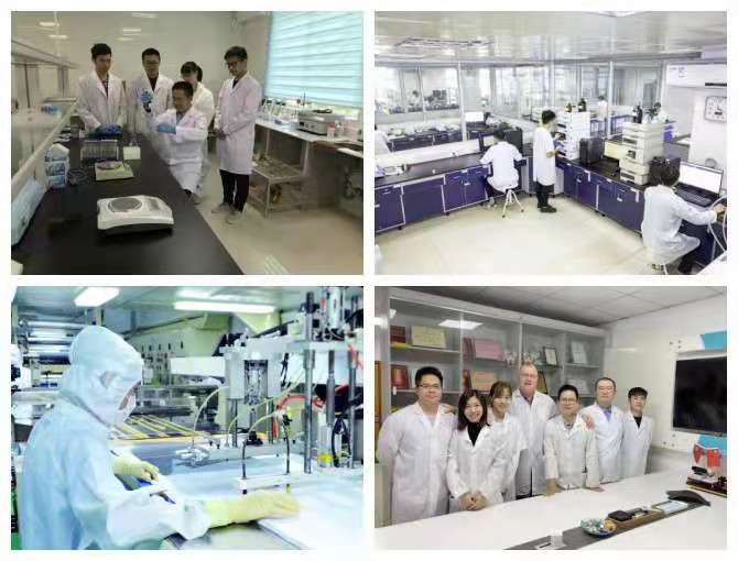 構建科技創新生態圈 積聚高質量發展新動能