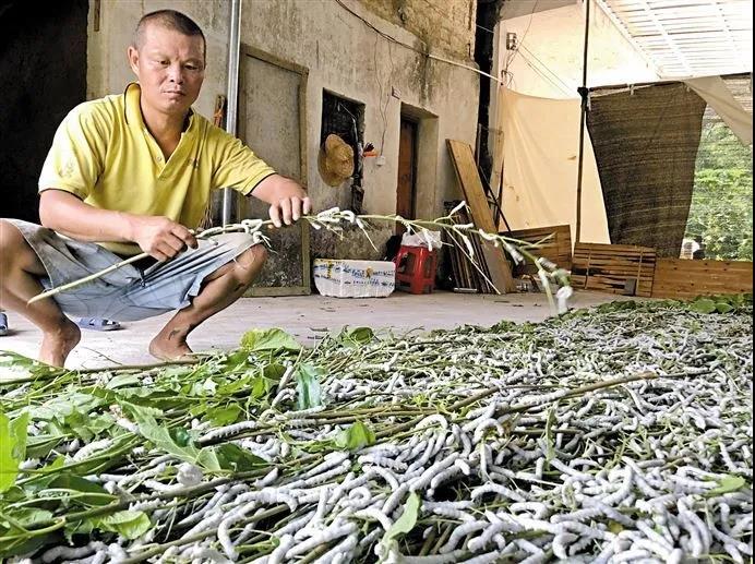 廣新集團“組合拳”有力幫扶:兩個窮山村齊齊變身為美麗先進村 廣新集團“組合拳”有力幫扶:兩個窮山村齊齊變身為美麗先進村