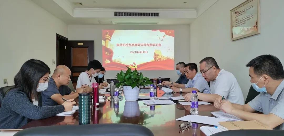 集團紀委書記、監察專員謝志云參加紀檢監察室黨支部紀教月專題學習會