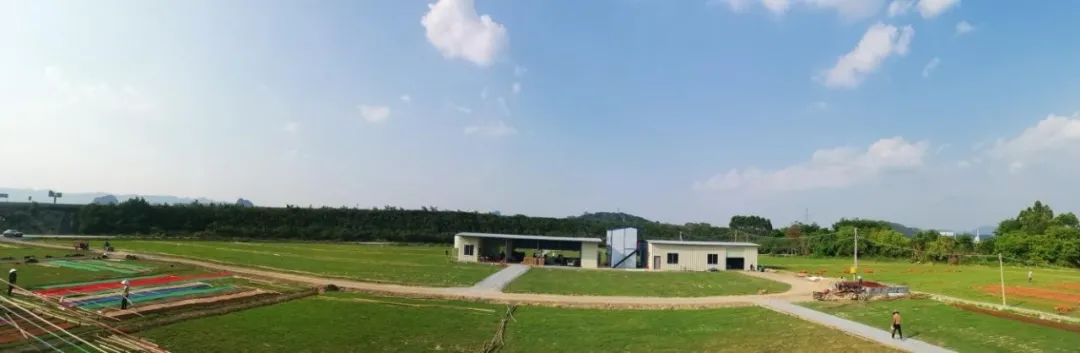 廣新集團以產業賦能為美麗鄉村注入“源頭活水”