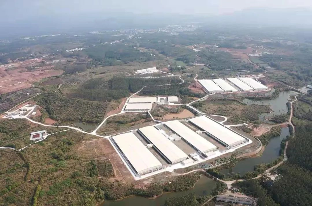 行穩致遠、篤行向新——廣新集團董事會推動企業實現高質量發展 行穩致遠、篤行向新——廣新集團董事會推動企業實現高質量發展