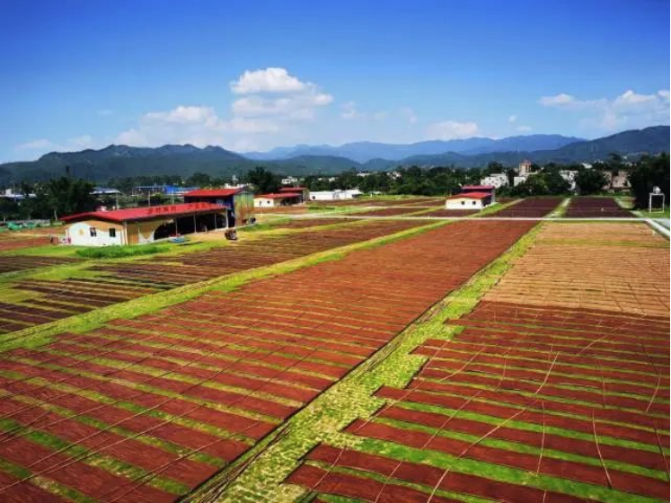 南方農村報報道：廣新集團為和美鄉村注入“源頭活水” 