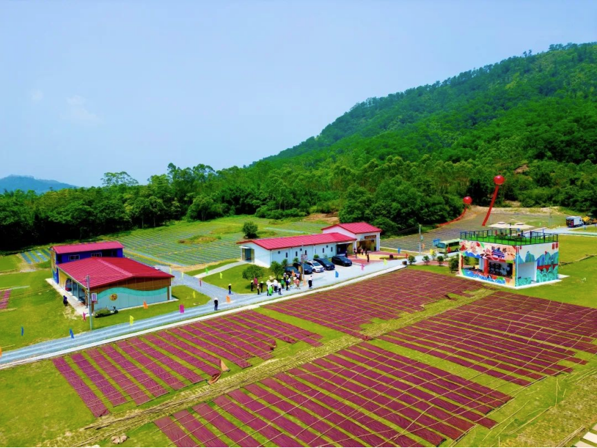南方農村報報道：廣新集團為和美鄉村注入“源頭活水” 