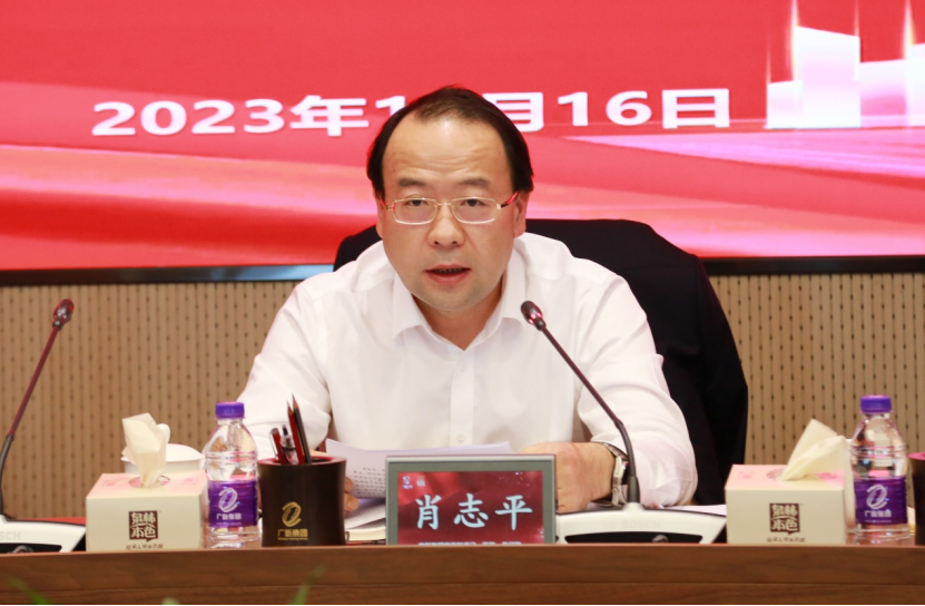 廣新集團召開財務共享中心建設中期推進會
