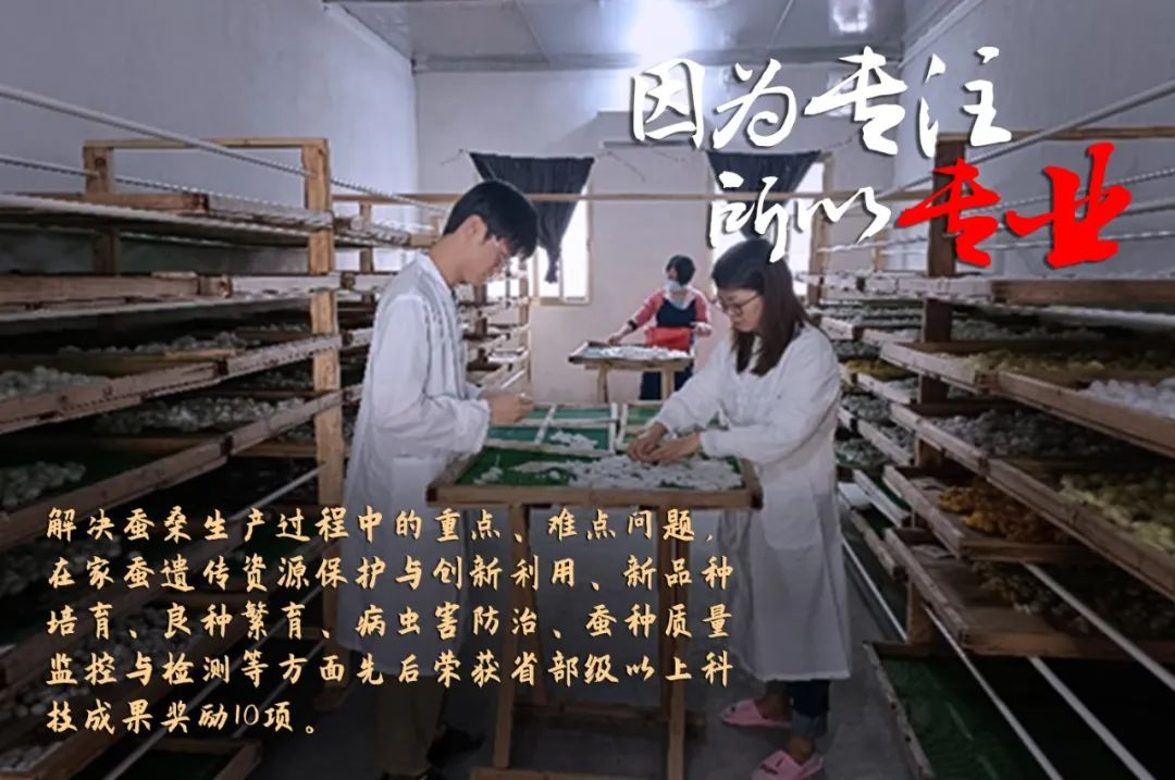 廣新集團評定一批勞模和工匠人才創新工作室 廣新集團評定一批勞模和工匠人才創新工作室