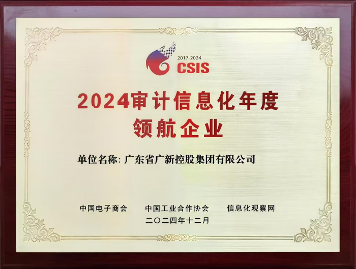 2024年審計信息化年度領航企業.jpg
