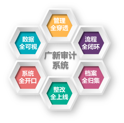 “六全”審計系統.png
